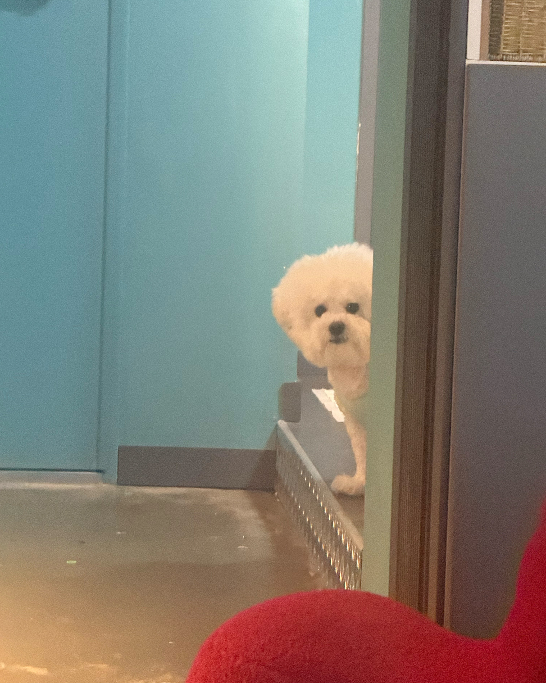 리뷰 이미지 3